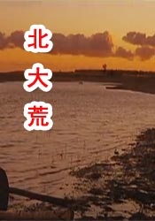 激情四房