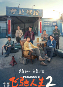 国产精品久久久久毛片