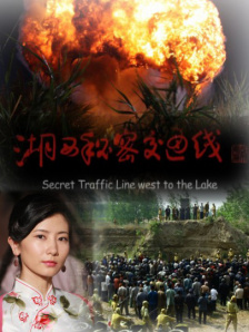 夜夜拍夜夜爽夜夜拍拍拍