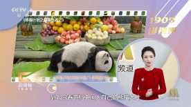 斯文的师生