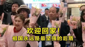 国产午夜精品理论片免费观看