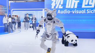 成人做视频免费
